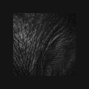 Deft - Blackest