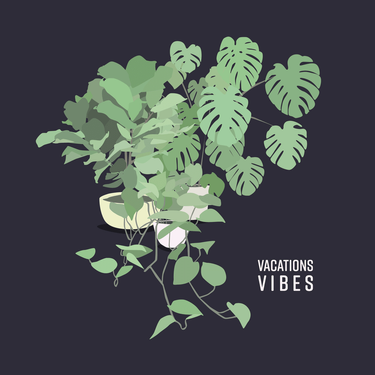 VACATIONS - Vibes