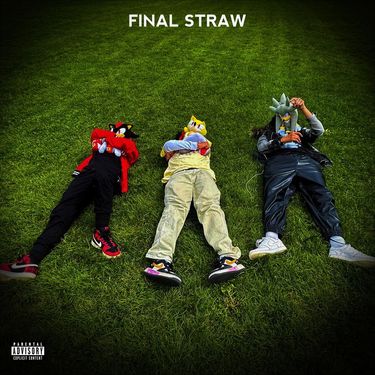 onlinemonkey - FINAL STRAW