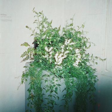 Samuel Seo - Love Eventually