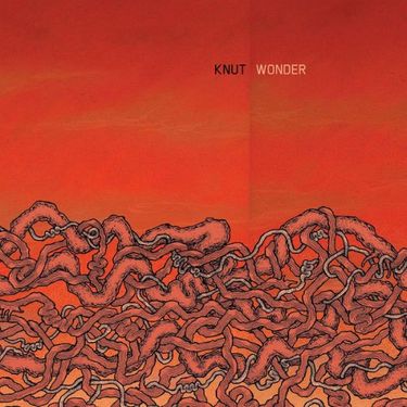 Knut - Wonder