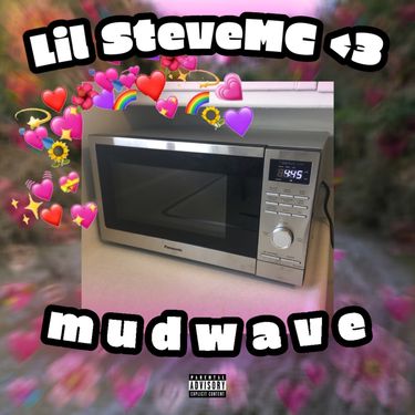 Lil Stevemc - mudwave
