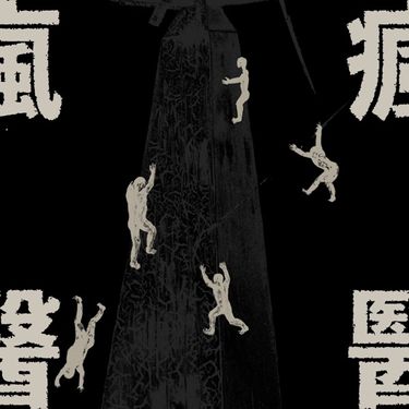 疯医（The Fallacy） - 瘋醫