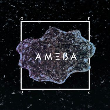 Gedz - AMEBA