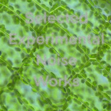 Webcops - Selected Experimental Works