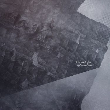Offthesky & Pleq - A Thousand Fields
