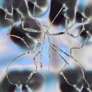 Aircode - Surface Tension