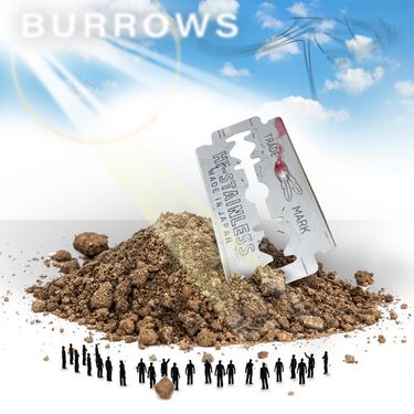 Aceii - Burrows