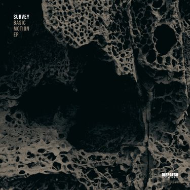 Survey - Basic Motion EP