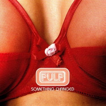 Pulp - Something Changed