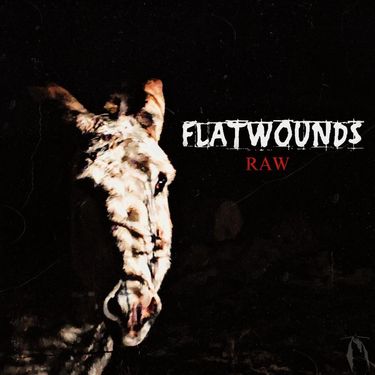 Flatwounds - Raw