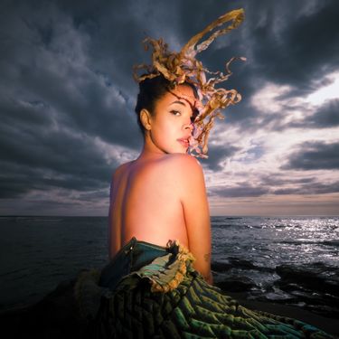 Cosha - Sun Back