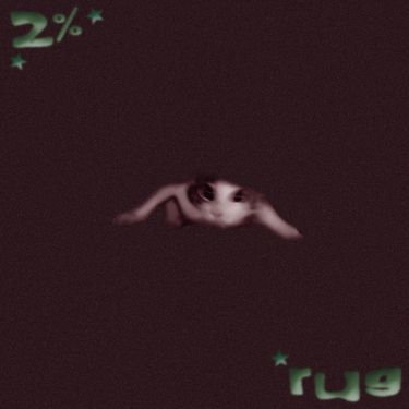 Rug - 2%
