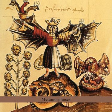 Bester Quartet - Metamorphoses