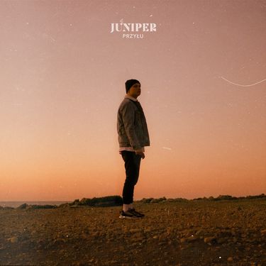 przyłu - JUNIPER