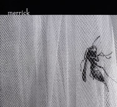 Merrick - Merrick