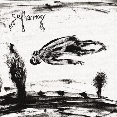 Selfharmony - Selfharmony