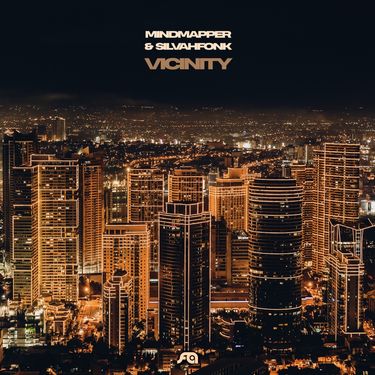 Mindmapper & Silvahfonk - Vicinity
