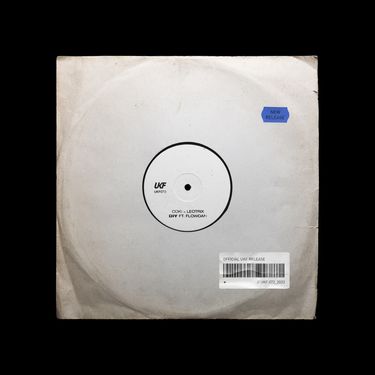 Coki & Leotrix - DIY