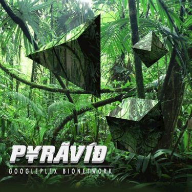 Pyravid - GooglePlex Bionetwork