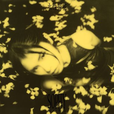 SOPHY - 水性揚花
