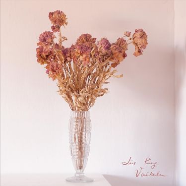 Liis Ring - Vaikelu