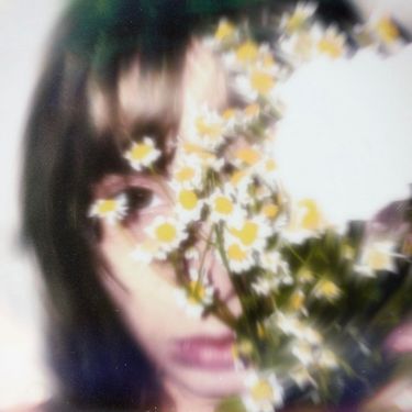 lor2mg - daisies