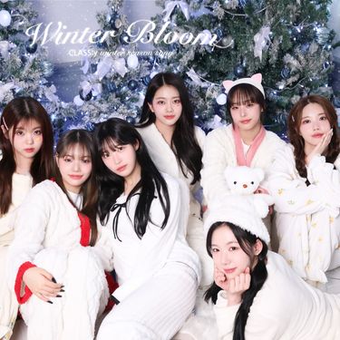 CLASS:y - Winter Bloom
