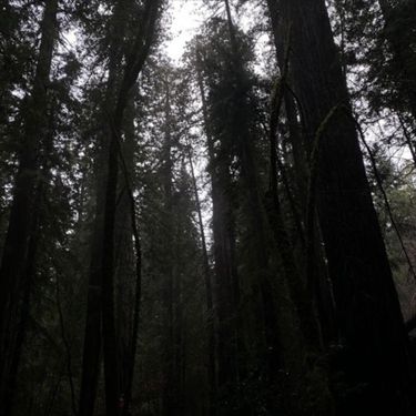 jtxpo - Tranquility