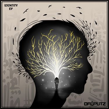 Droplitz - Identity