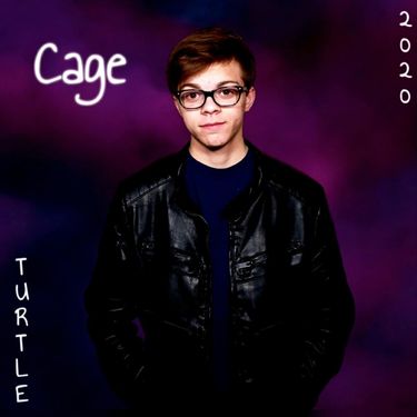Turtle - Cage