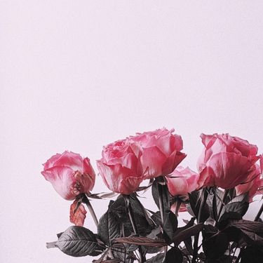 GRAHAM - Wrong
