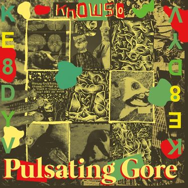 Knowso - Pulsating Gore