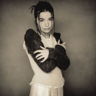 Bj&ouml;rk - Human Behaviour