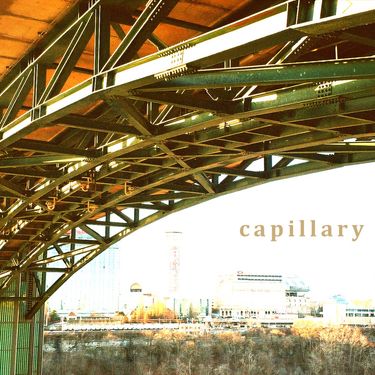 Capillary - Capillary