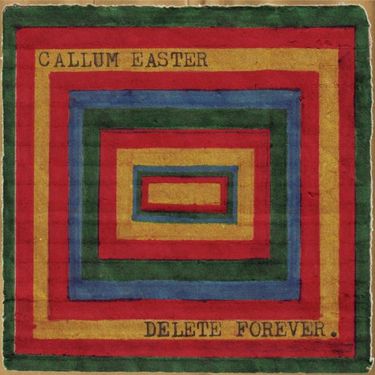 Callum Easter - Delete Forever