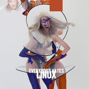 Linux - Everbody Hates Linux