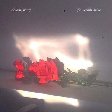 Dream, Ivory - Flowerhill Drive