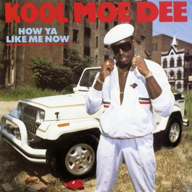 Kool Moe Dee - How Ya Like Me Now