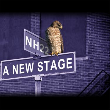 Nighthawk22 - Vindication