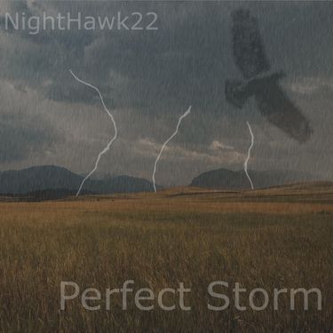 Nighthawk22 - Perfect Storm