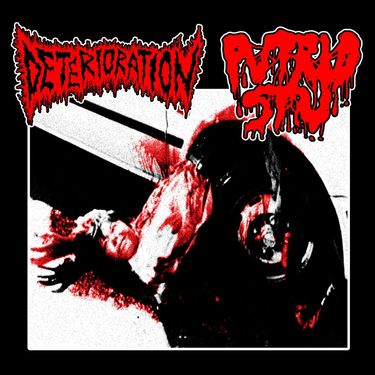 Putrid Stu - Split with Deterioration