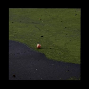 Pandoo - Multitudes