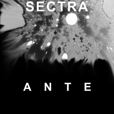 Sectra - Ante