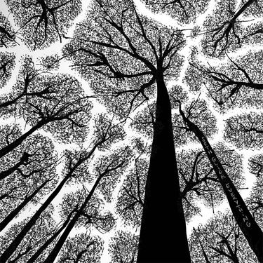 Seth Glier - Everything