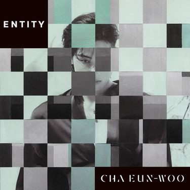 Cha Eun-Woo - ENTITY