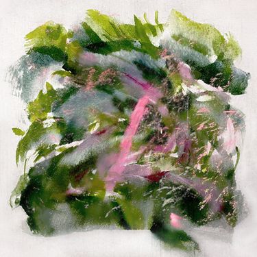 MIZU - Forest Scenes