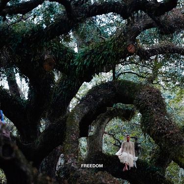 Beyonc&eacute; - Freedom