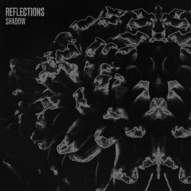 Reflections - Shadow