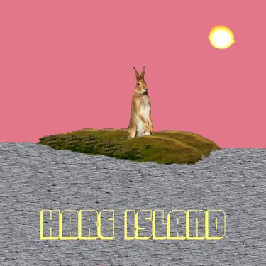 Eoin Dolan - Hare Island